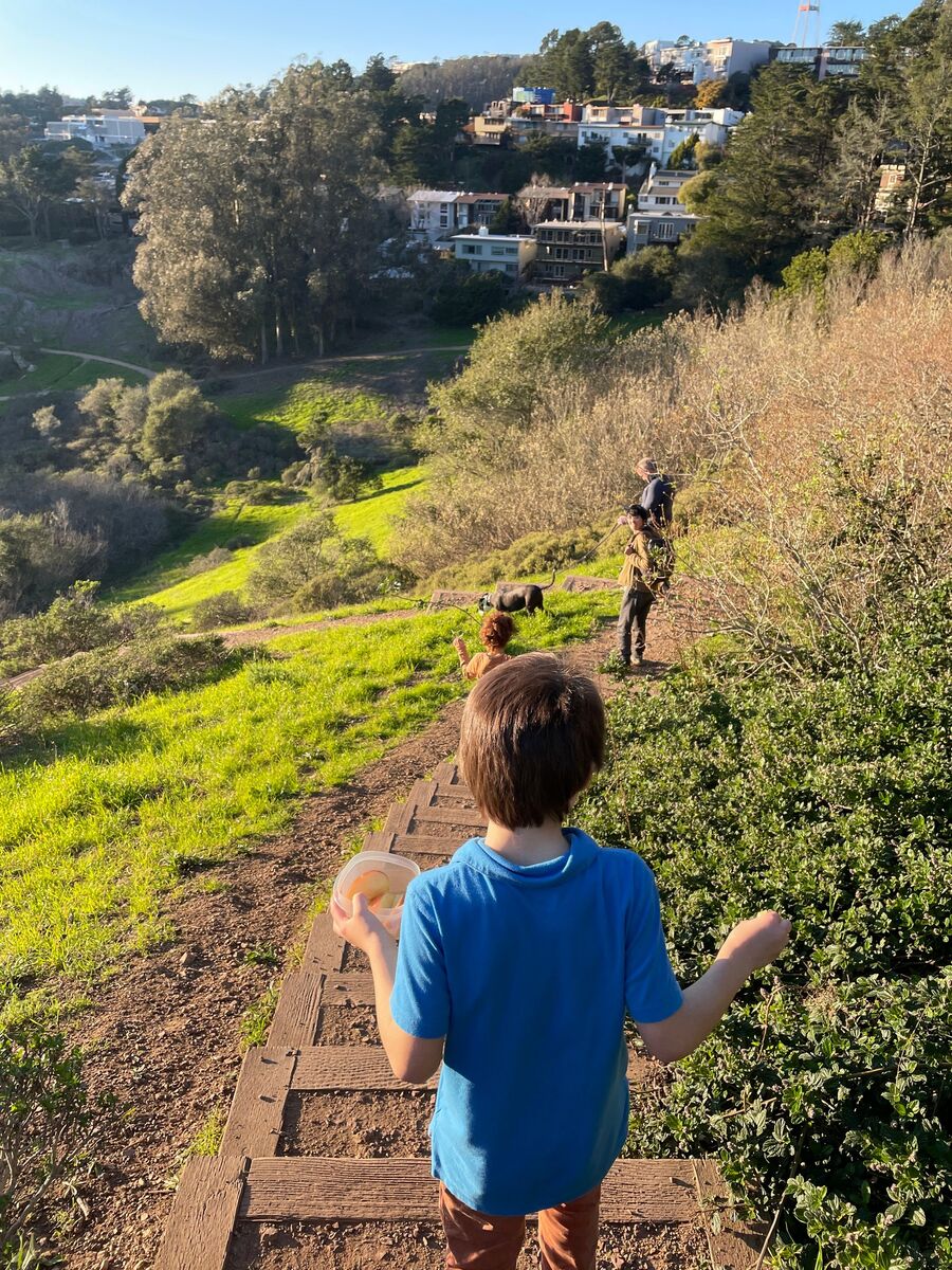 Children walking down a wooden stairway on a green San Francisco hillside