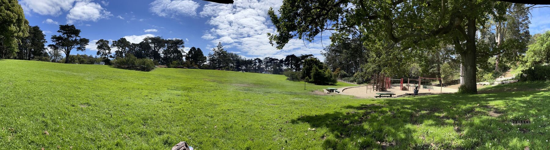 A wide grassy park with trees and a playground in San Francisco